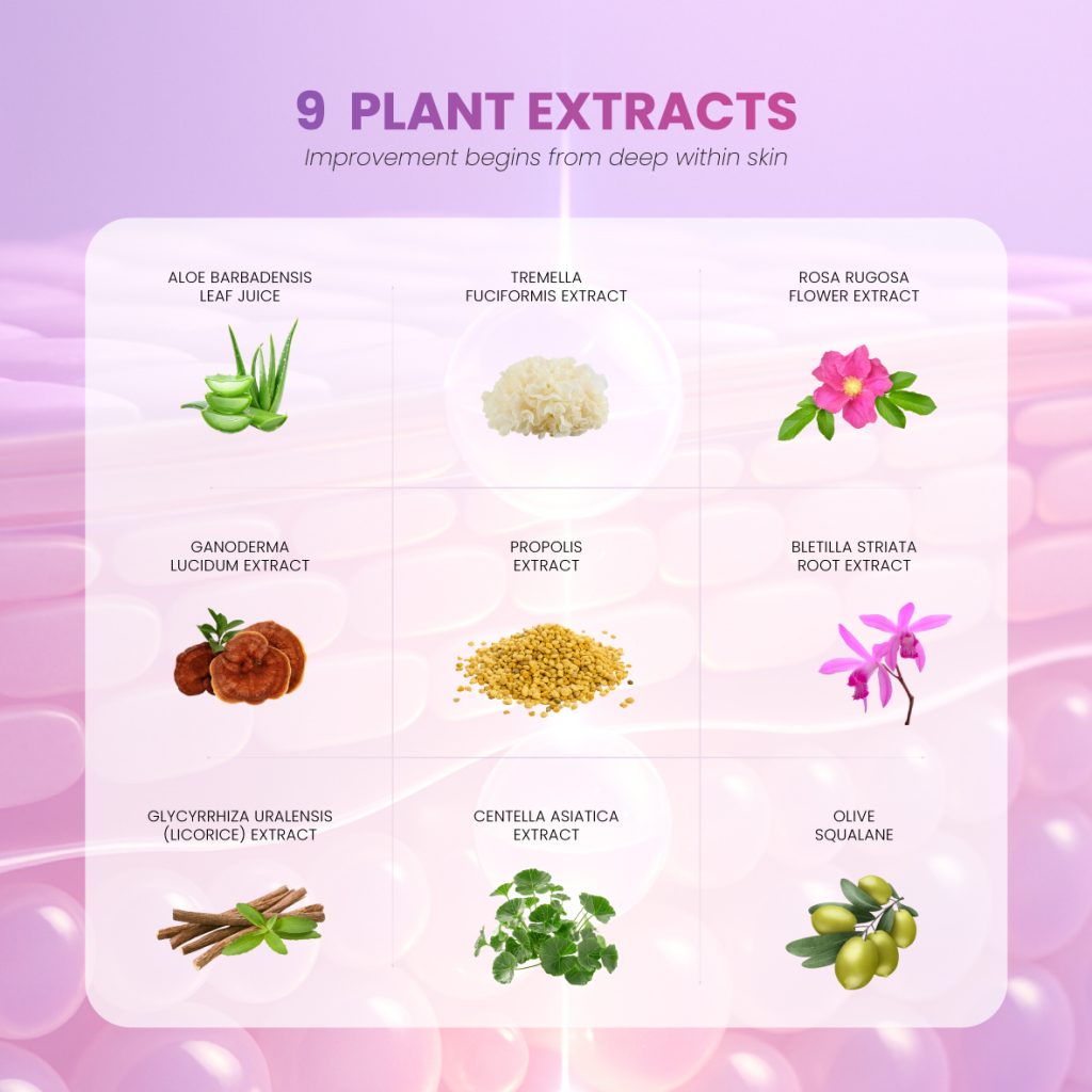 beautime web description 001 08